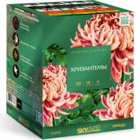 Фейерверк Хризантемы. Купить Фейерверк Хризантемы Z1032 — магазин продажа салютов недорого —  Шатура, производитель Русский фейерверк - Русская пиротехника, доставка по России  +7 963 711 89 03 — Шатура | shatura.piroclub.ru