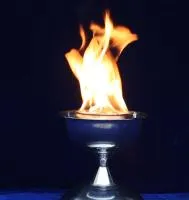Мириатюрная чаша для огня в Шатуре ∅ 210 мм. (518979)