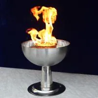 Чаша торжественный огонь (197218) производство для огня ø 320 мм. ветроустойчивая  в Шатуре